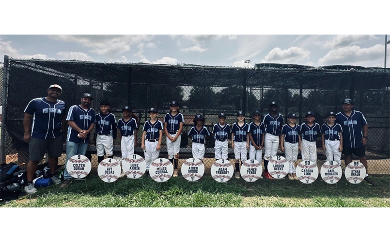 10U Blue Gray